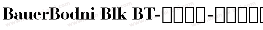 BauerBodni Blk BT-普通西方字体转换